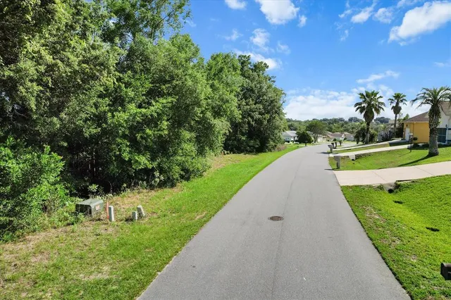 a view of a garden with a fountain