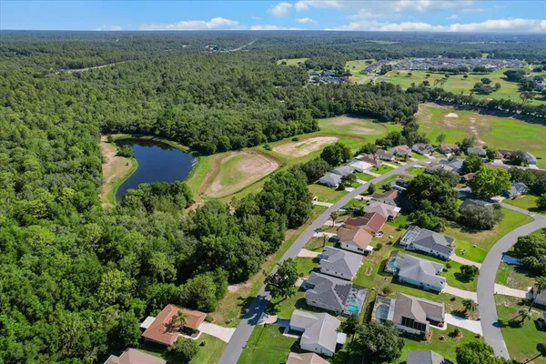 a view of a city with garden