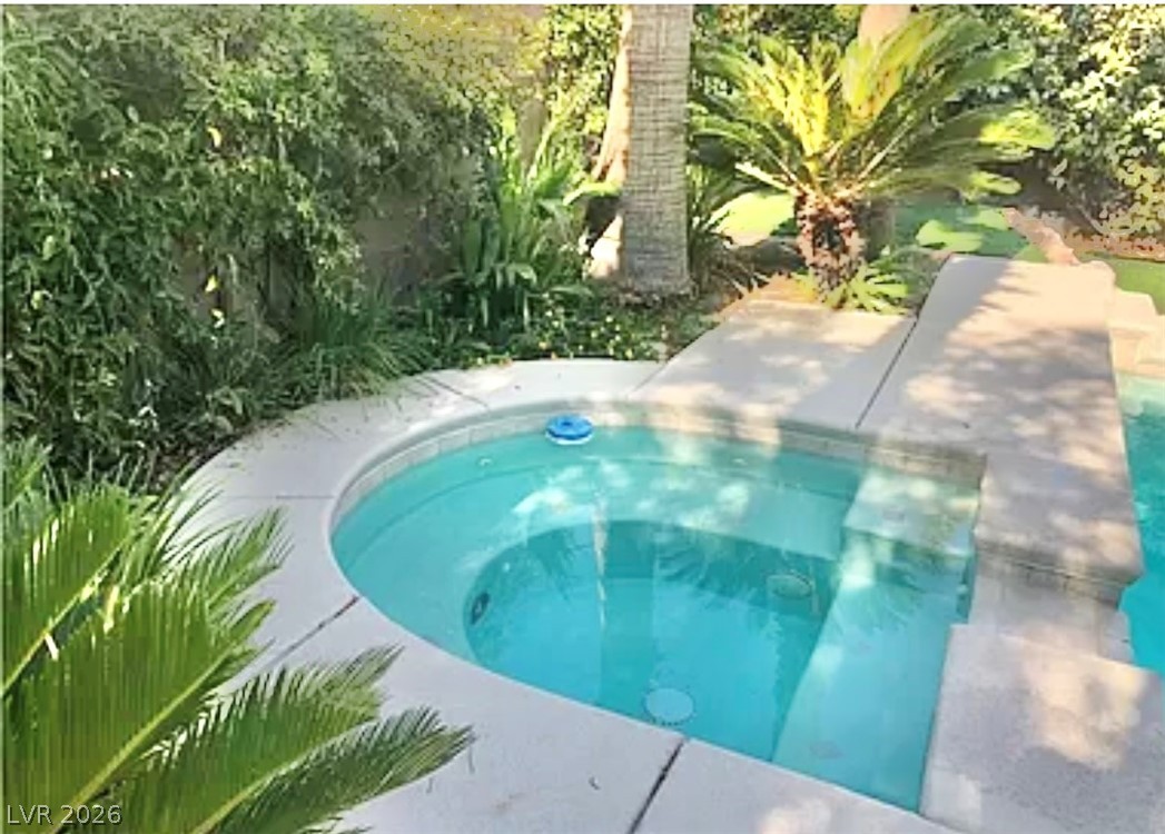 10263 Splendor Ridge Avenue Las Vegas, NV 89135 - Photo 48 of 55 In ground spa area.