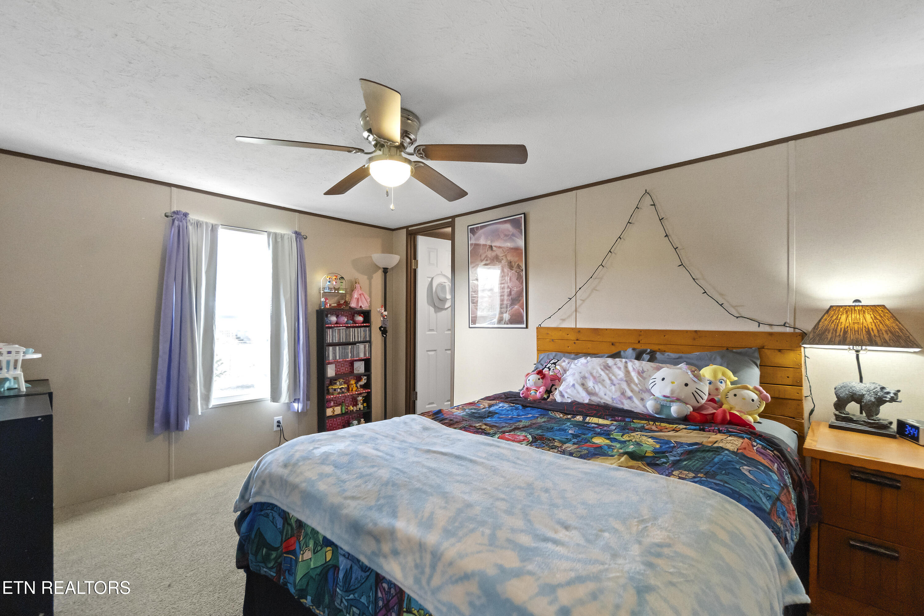 167 Millstone Way Cosby, TN 37722 - Photo 20 of 50 DSC09110