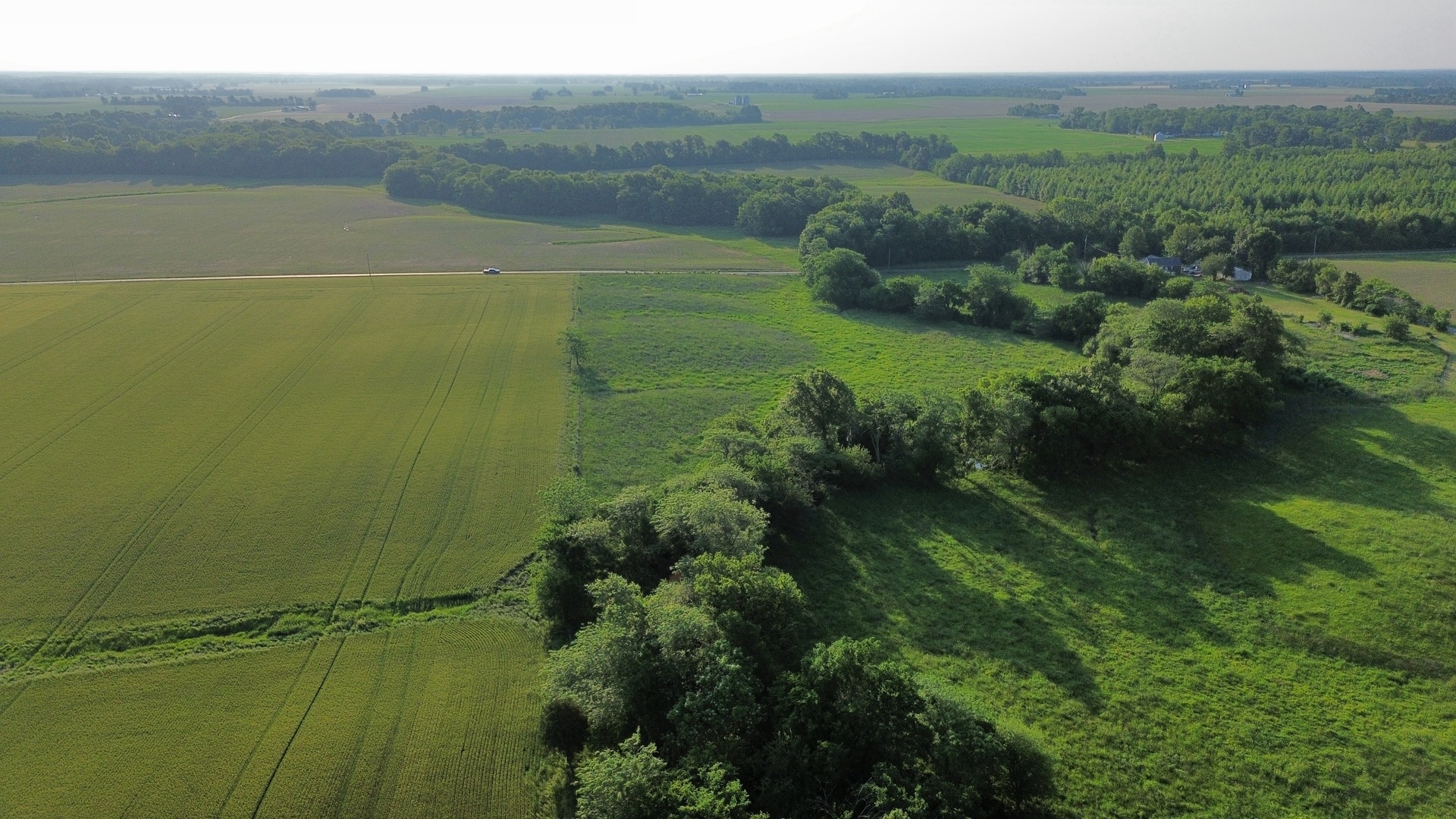 0 County Highway 29 Road Rinard, IL 62878 - Photo 3 of 28