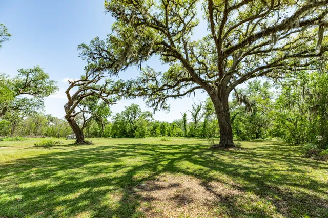 a big yard with lots of trees