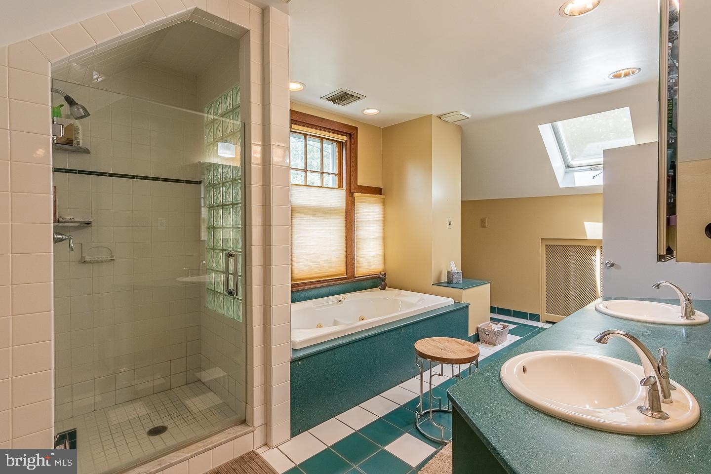 22 Tenby Road Havertown, PA 19083 - Photo 34 of 43 Master bath