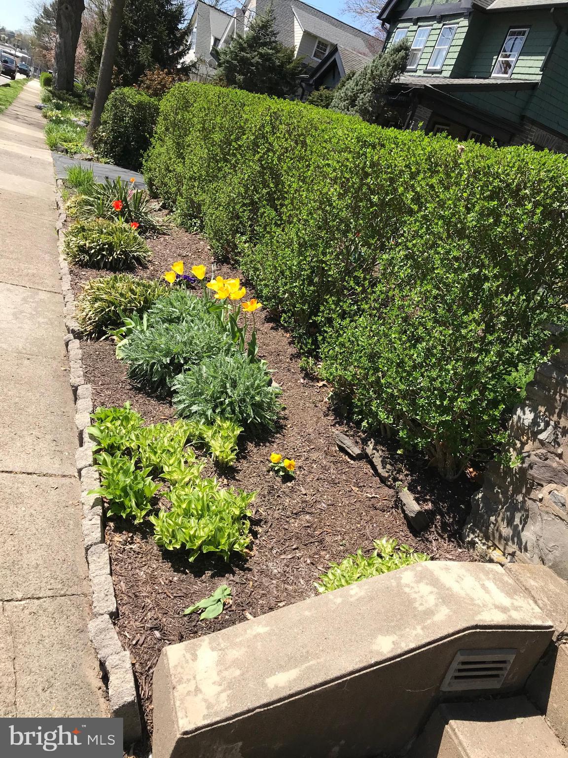 22 Tenby Road Havertown, PA 19083 - Photo 5 of 43 Front Yard