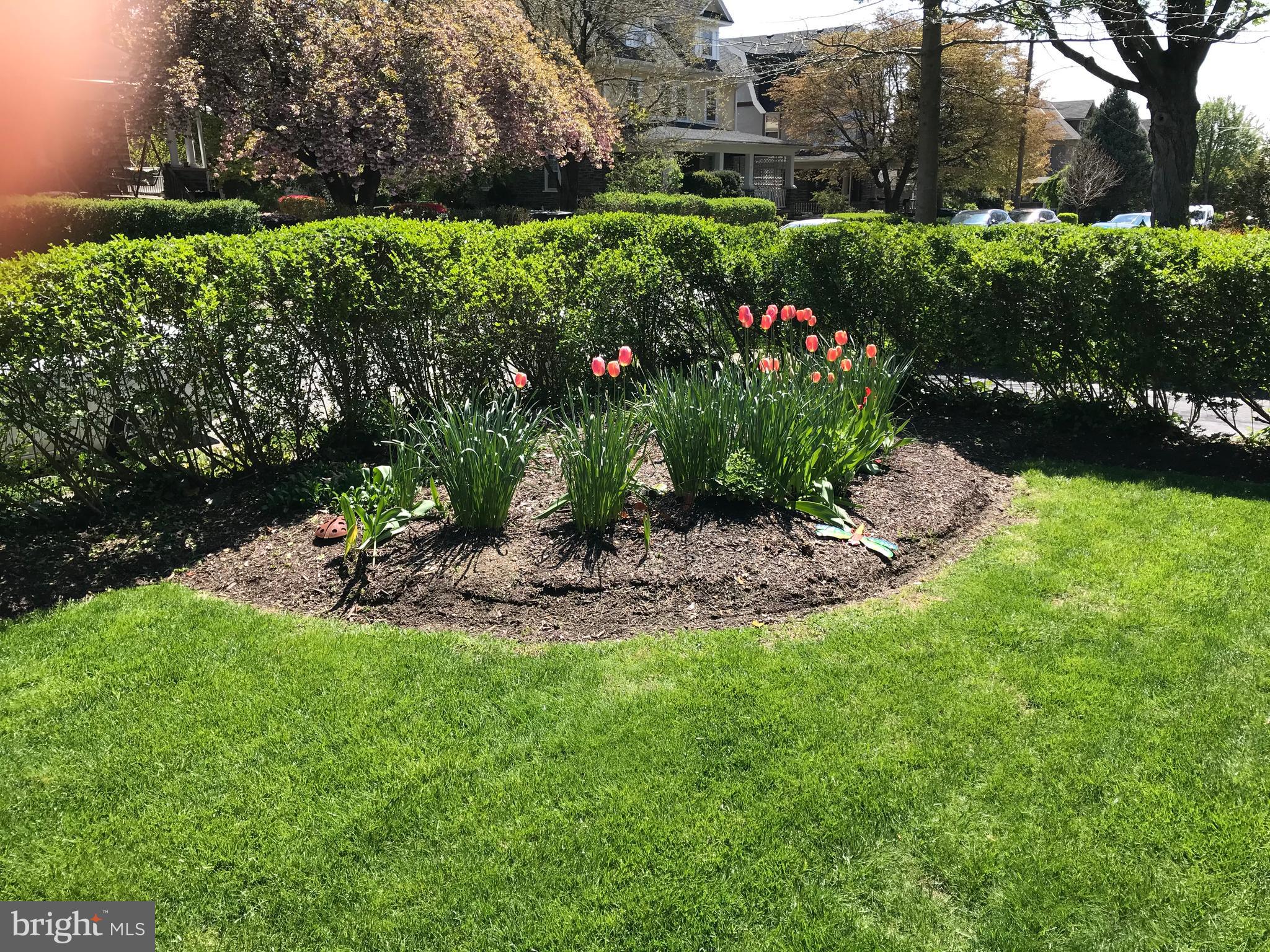 22 Tenby Road Havertown, PA 19083 - Photo 7 of 43 Front yard