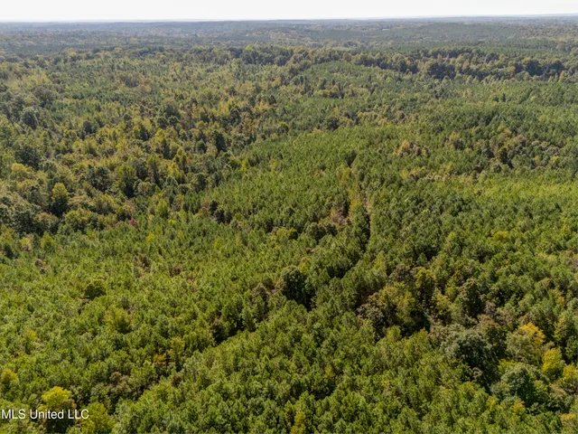 $319,000 | 0 Holmes Road, Batesville, MS 38606