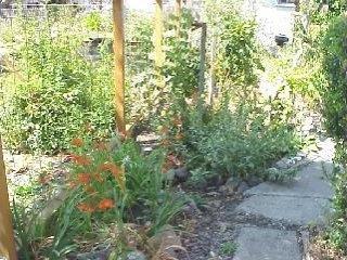 601 North Dutton Avenue Santa Rosa, CA 95401 - Photo 5 of 5 Gallery Image 5