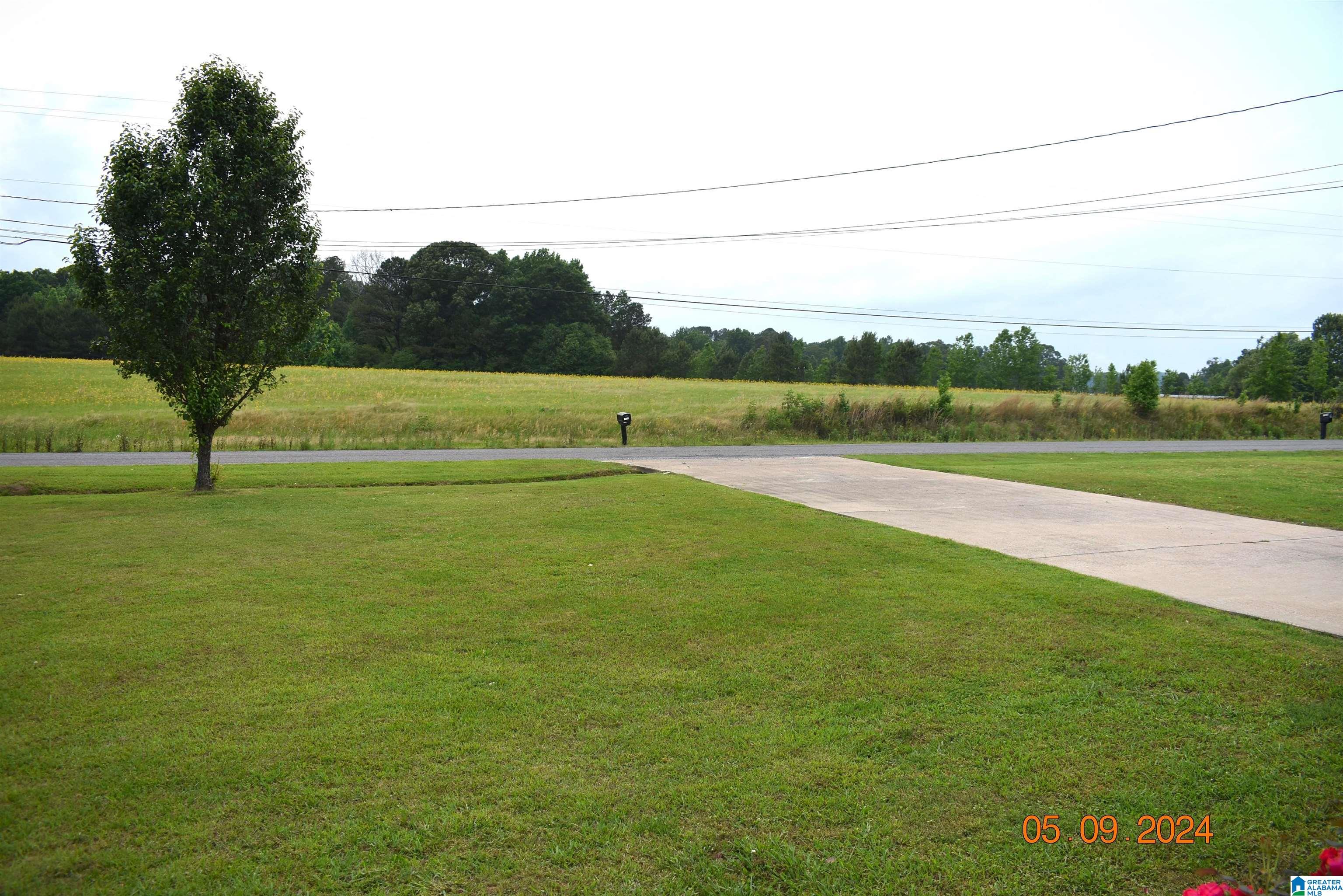 1910 Blooming Grove Road Jasper, AL 35504 - Photo 5 of 37