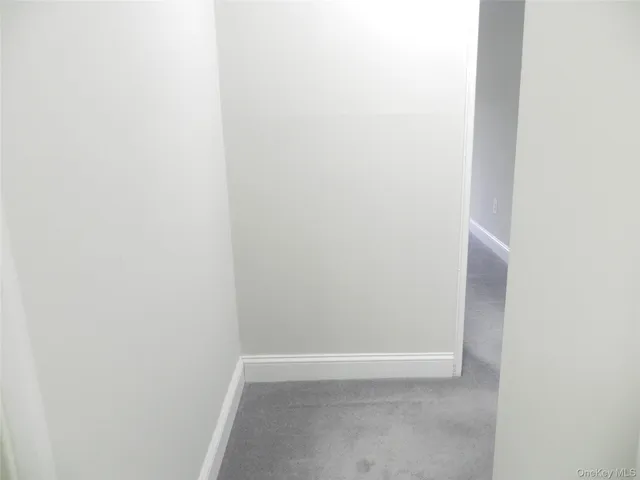 a view of a big yard with a large tree