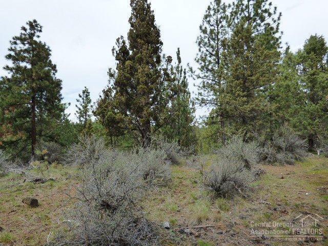 3202 McClellan Road Bend, OR 97702 - Photo 11 of 25 a view of a forest with lots of trees