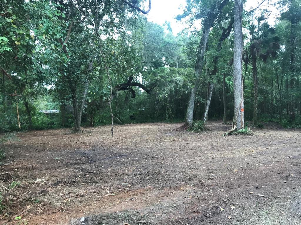 Southwest 35th Drive Webster, FL 33597 - Photo 1 of 1 Gallery Image 1