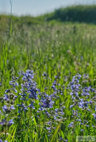 $2,195,000 | 475-alta East Ski Hill Road, Alta, WY 83414