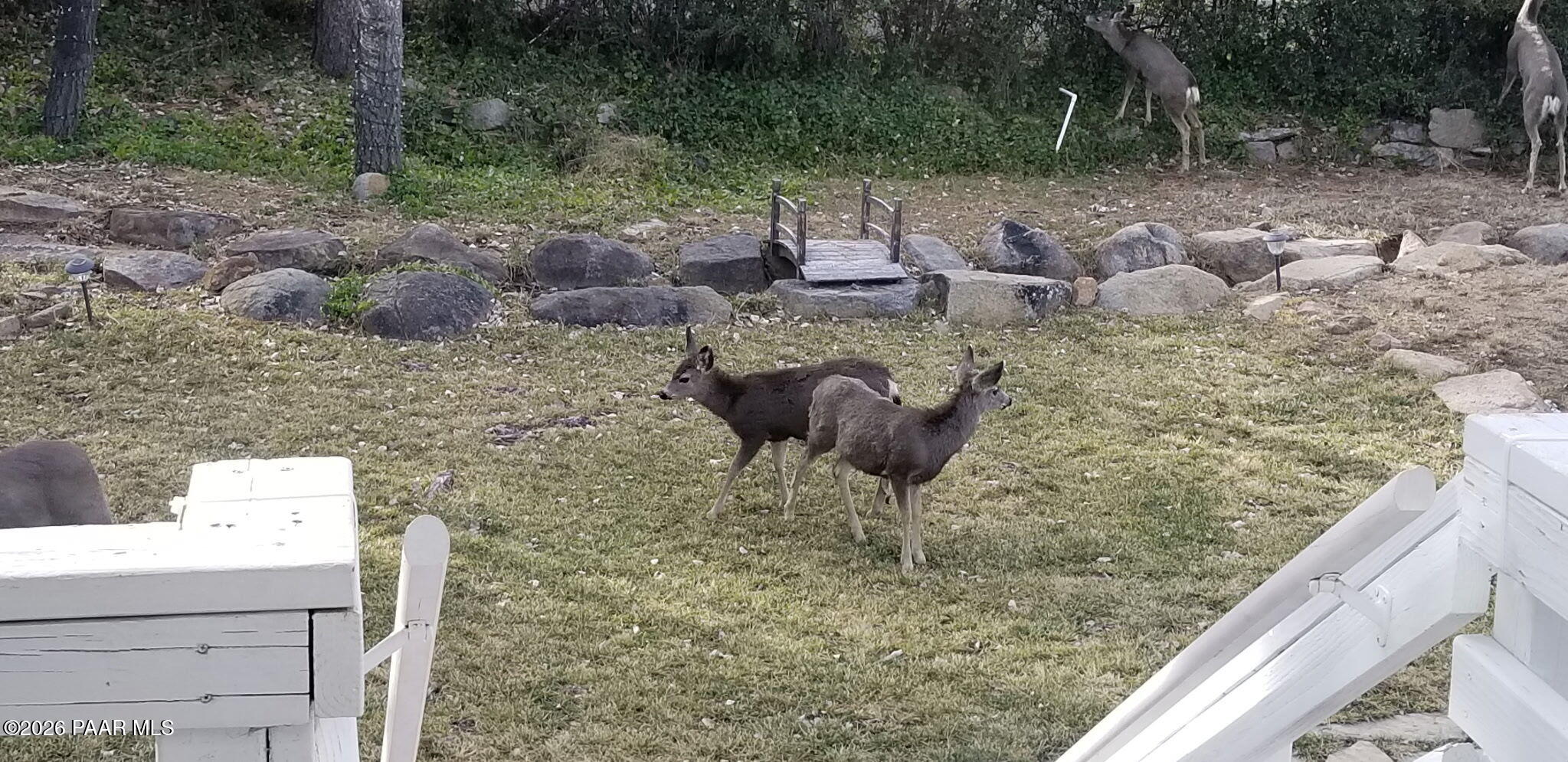 1963 Idylwild Road Prescott, AZ 86305 - Photo 52 of 54 Seasonal creek
