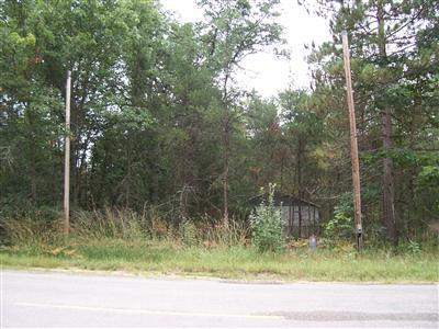 85 West Baldwin Road Baldwin, MI 49304 - Photo 1 of 3 Primary Photo