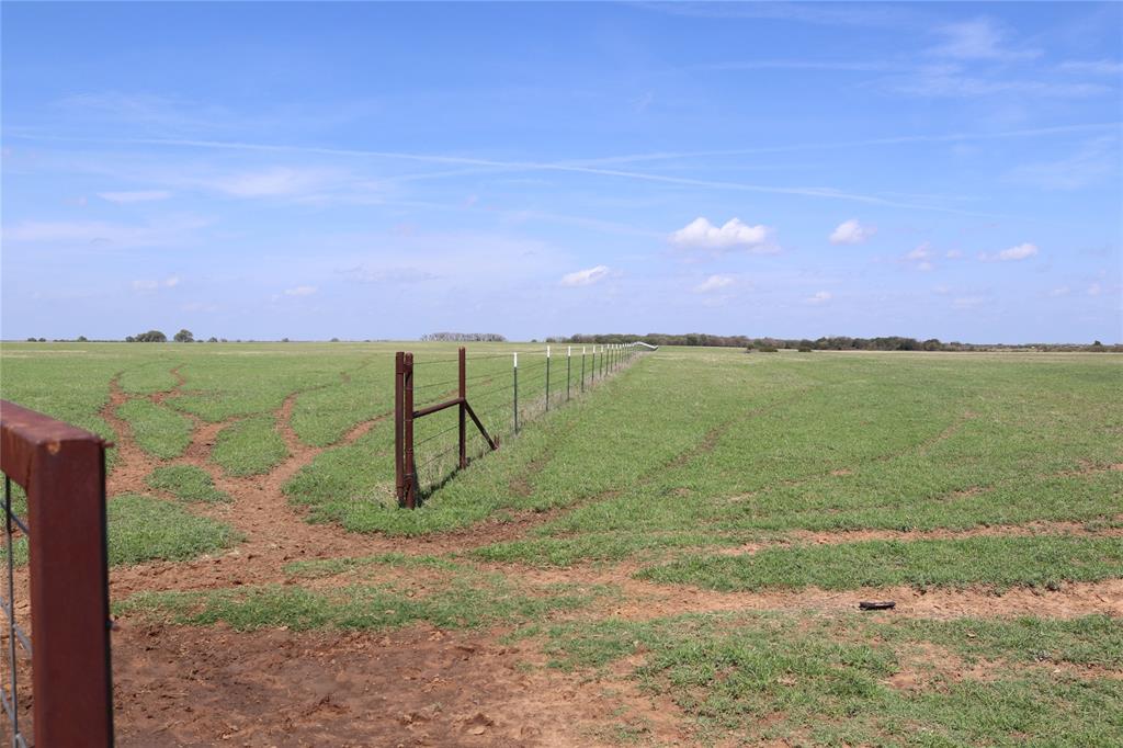 2553 Brixey Road Henrietta, TX 76365 - Photo 15 of 32 a view of a yard with a palm tree
