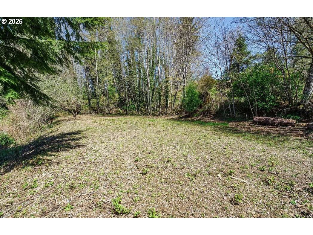 81217 Bear Road Seaside, OR 97138 - Photo 2 of 5 a view of a yard with a tree