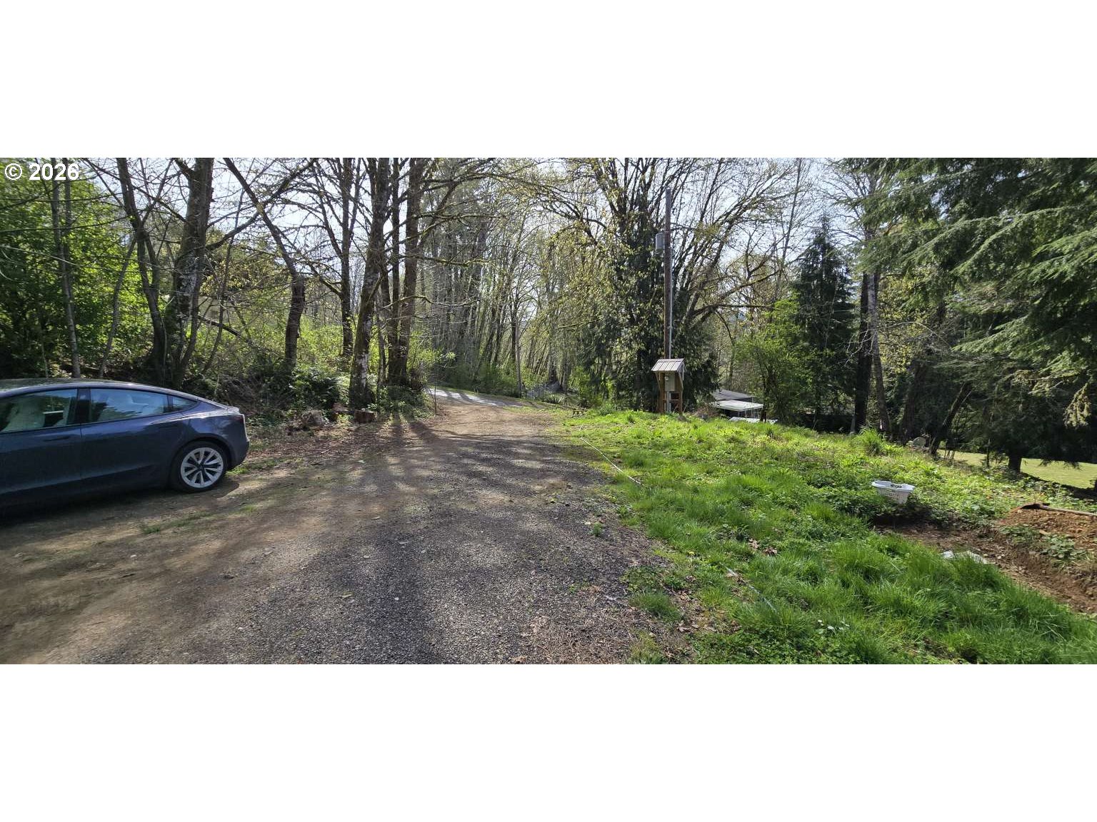 81217 Bear Road Seaside, OR 97138 - Photo 3 of 5 a view of a yard with trees
