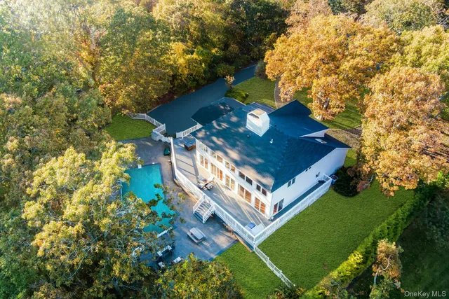 a view of a trees in a backyard