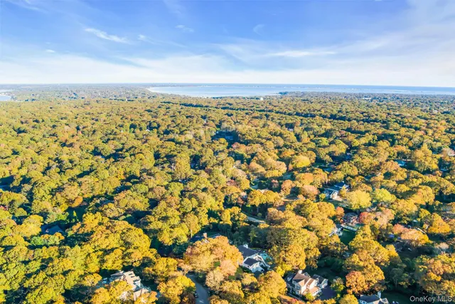 an aerial view of residential building and trees