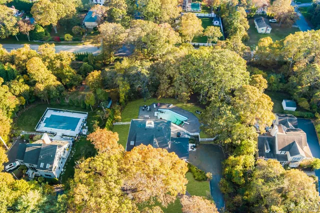 a bathroom with a tree in front of it