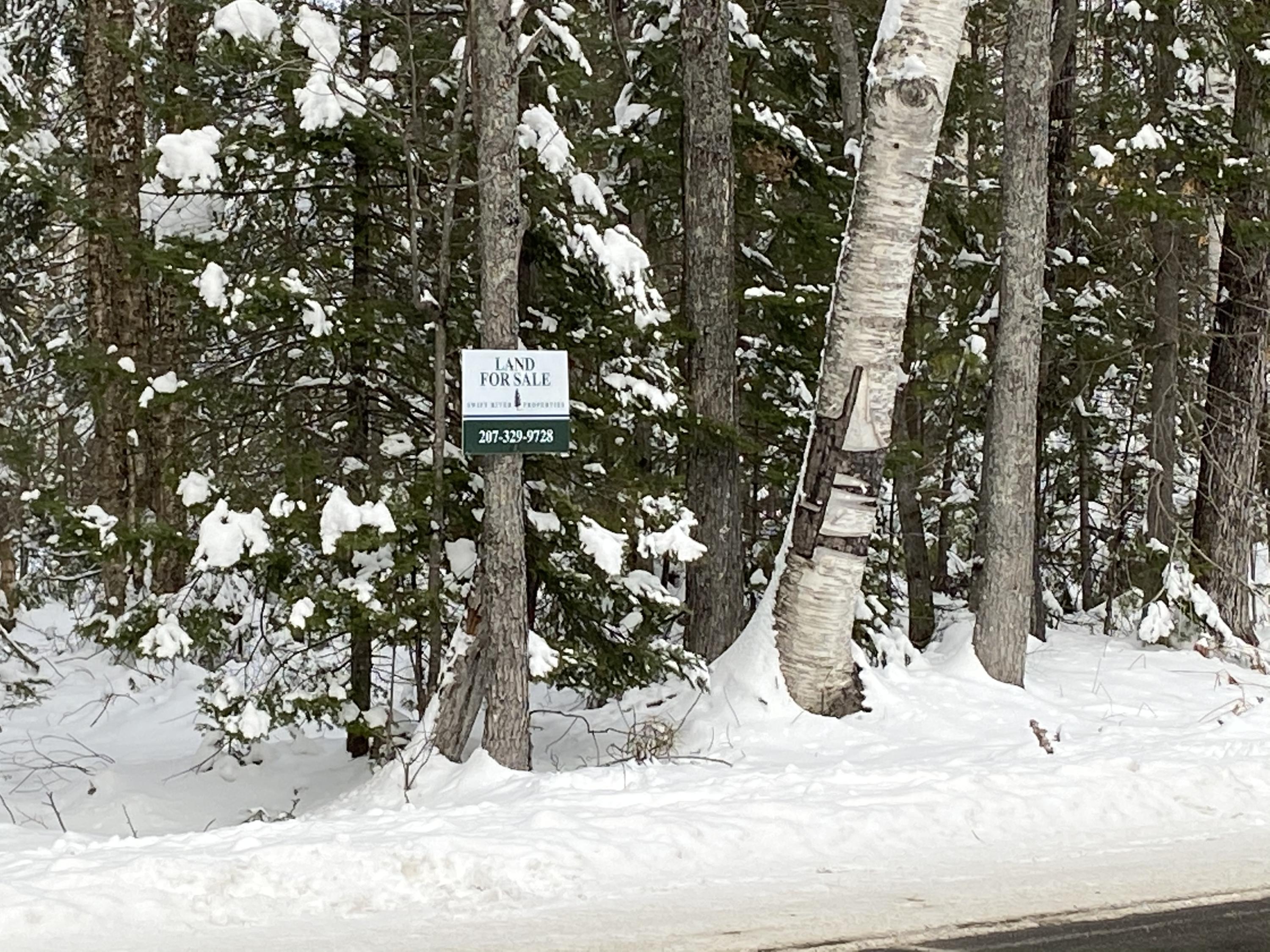 0 Route 120 Roxbury Me 04275 Roxbury, ME 04275 - Photo 6 of 9 B82CCD9D-CF76-4EA7-9E92-98CFCC637D4F