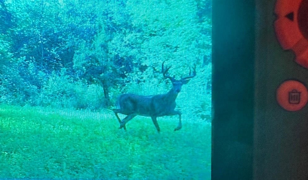 1079 Koshkonong Road Cambridge, WI 53523 - Photo 34 of 36