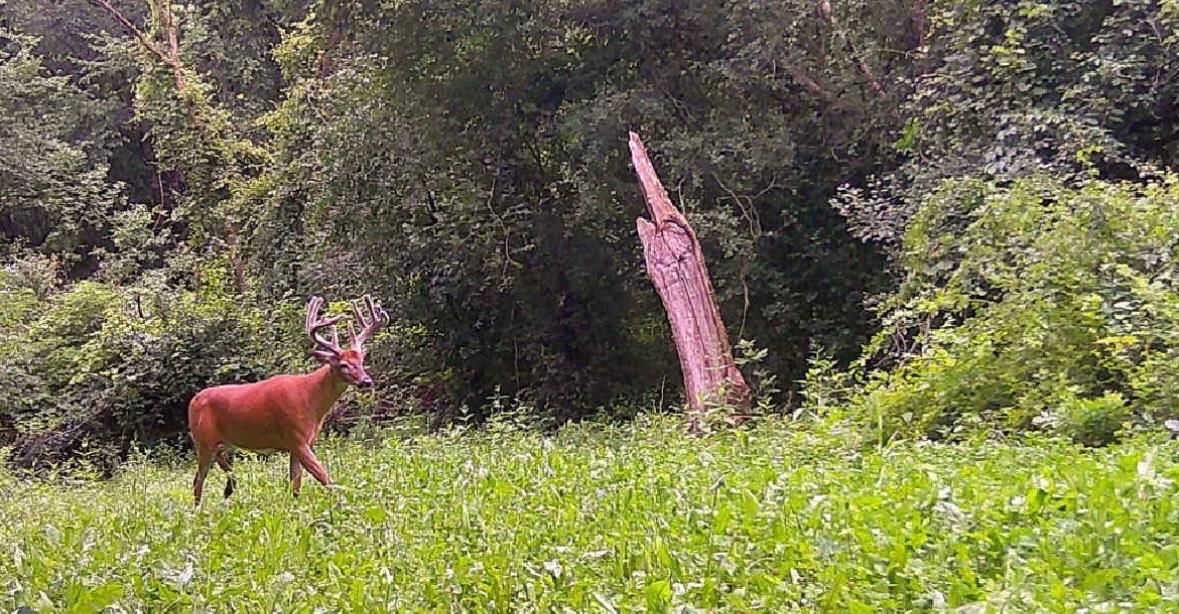 1079 Koshkonong Road Cambridge, WI 53523 - Photo 35 of 36