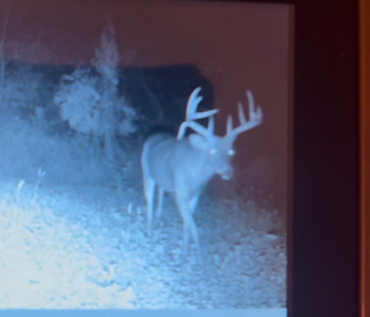 1079 Koshkonong Road Cambridge, WI 53523 - Photo 36 of 36