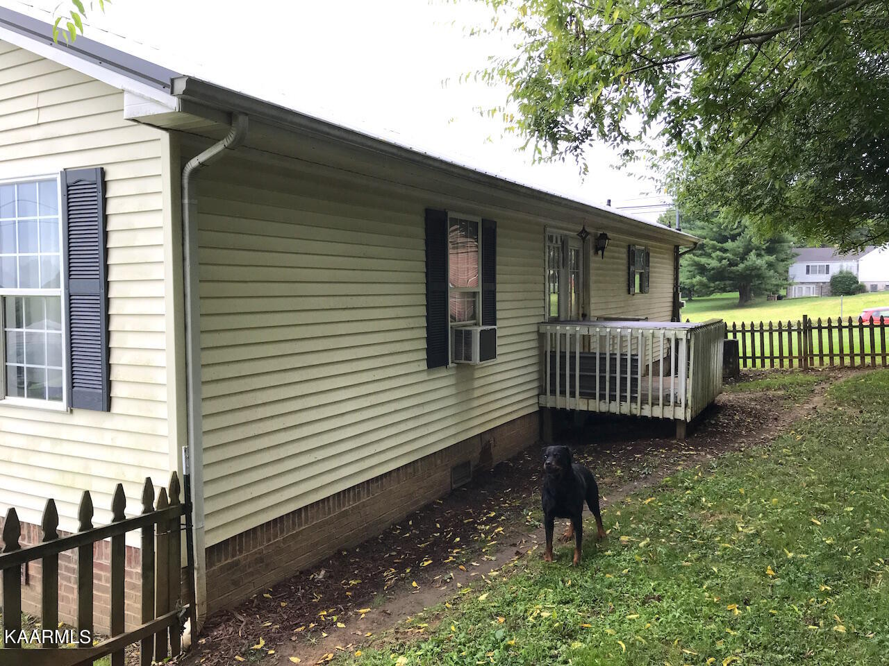 103 Dutchy Humphreys Road Limestone, TN 37681 - Photo 18 of 18 R-Back2