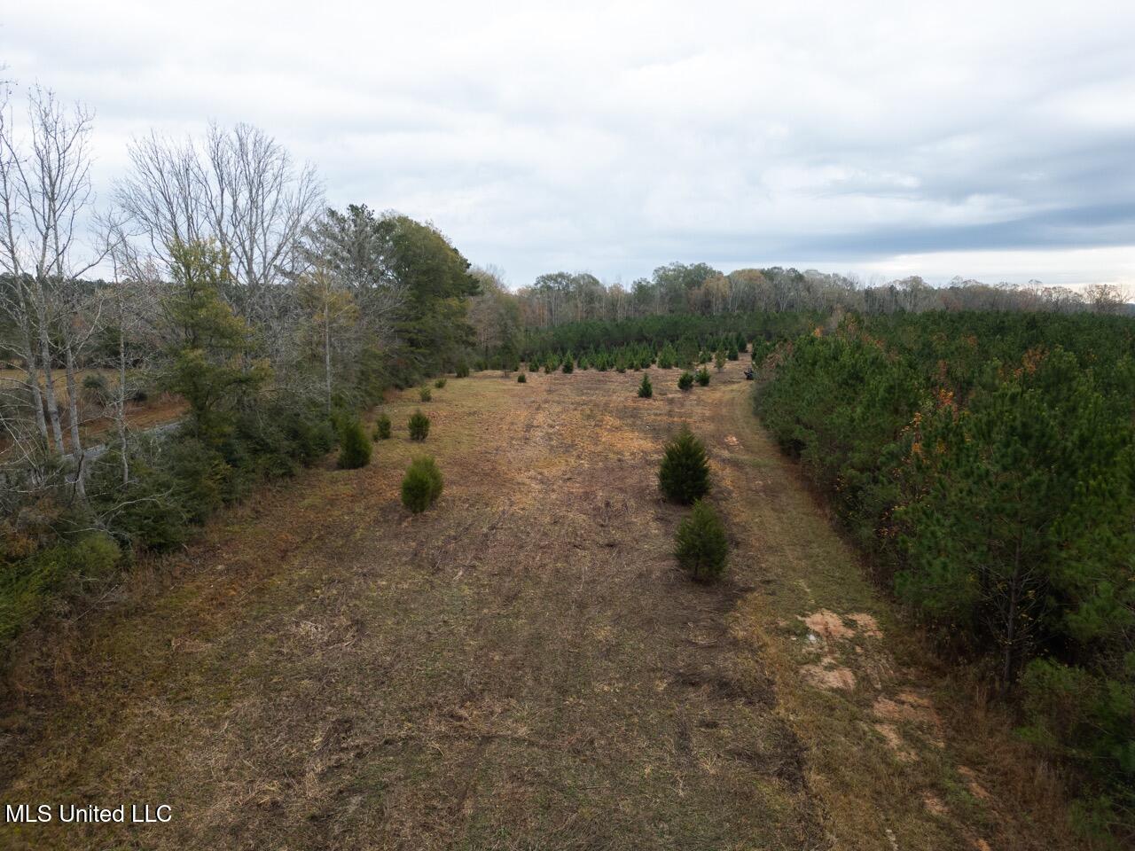 3448 Lower Centreville Road Liberty, MS 39645 - Photo 1 of 36 DJI_0025 Large