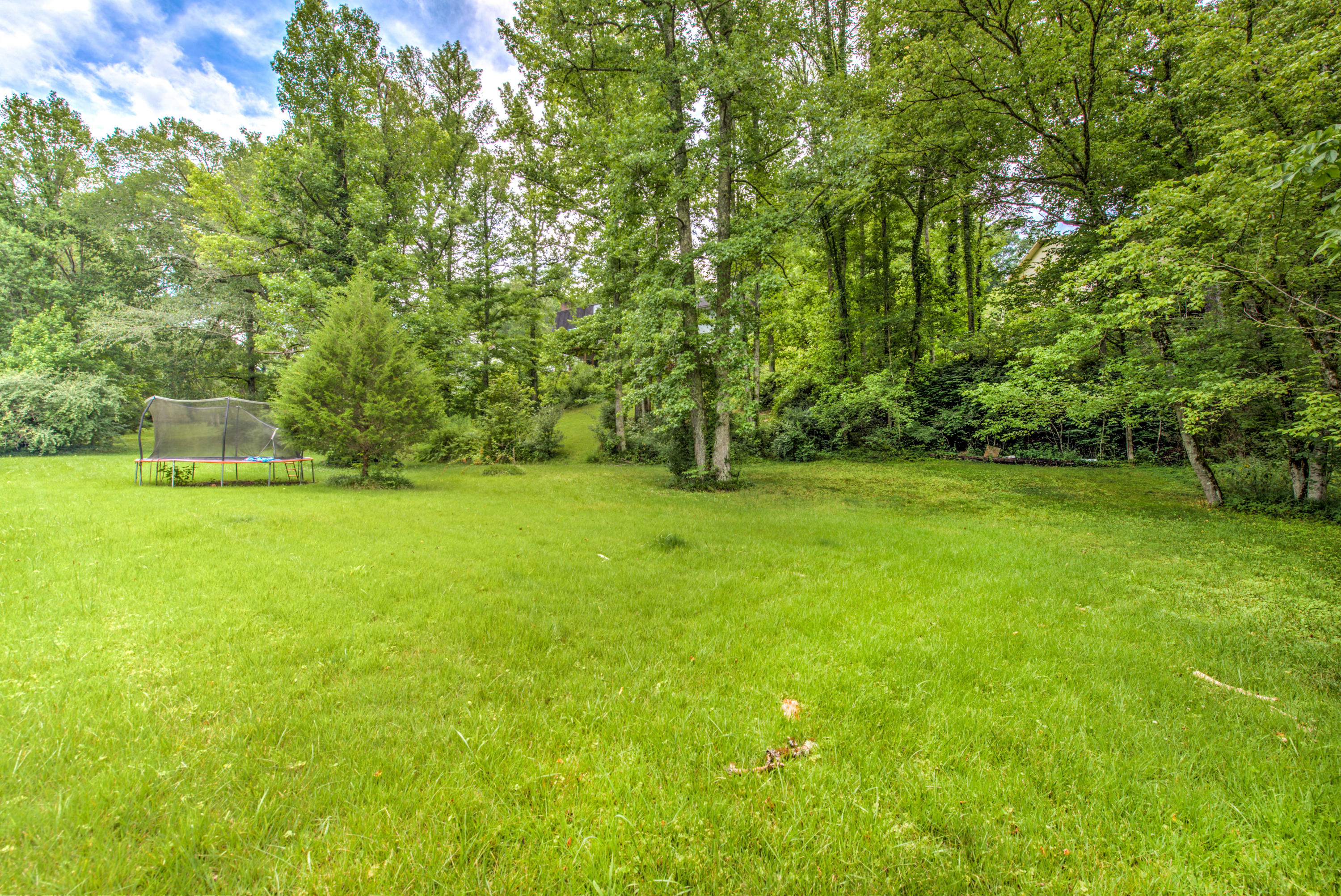 115 Greystone Drive Oak Ridge, TN 37830 - Photo 36 of 40 Back Yard