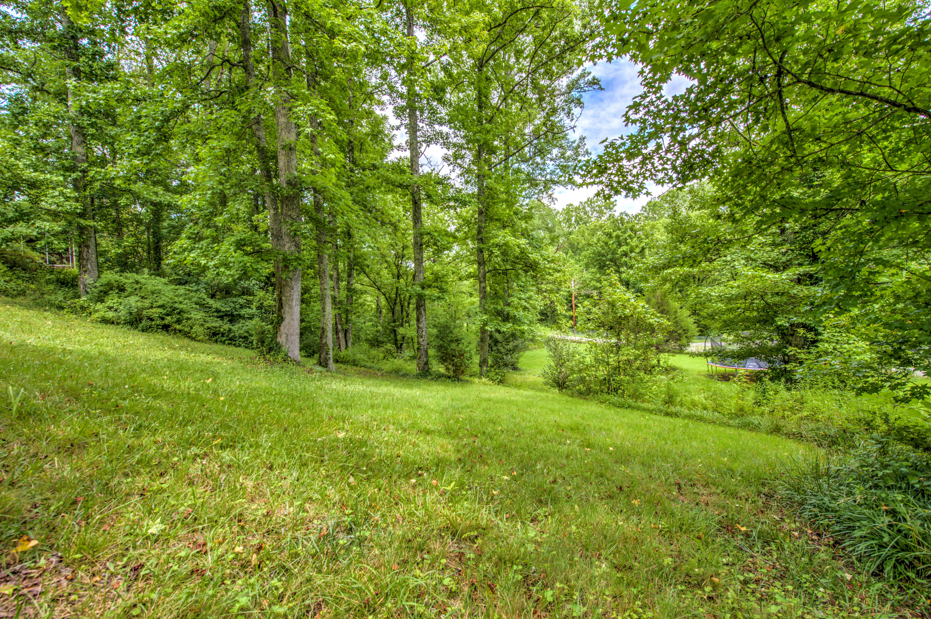 115 Greystone Drive Oak Ridge, TN 37830 - Photo 37 of 40 Back Yard