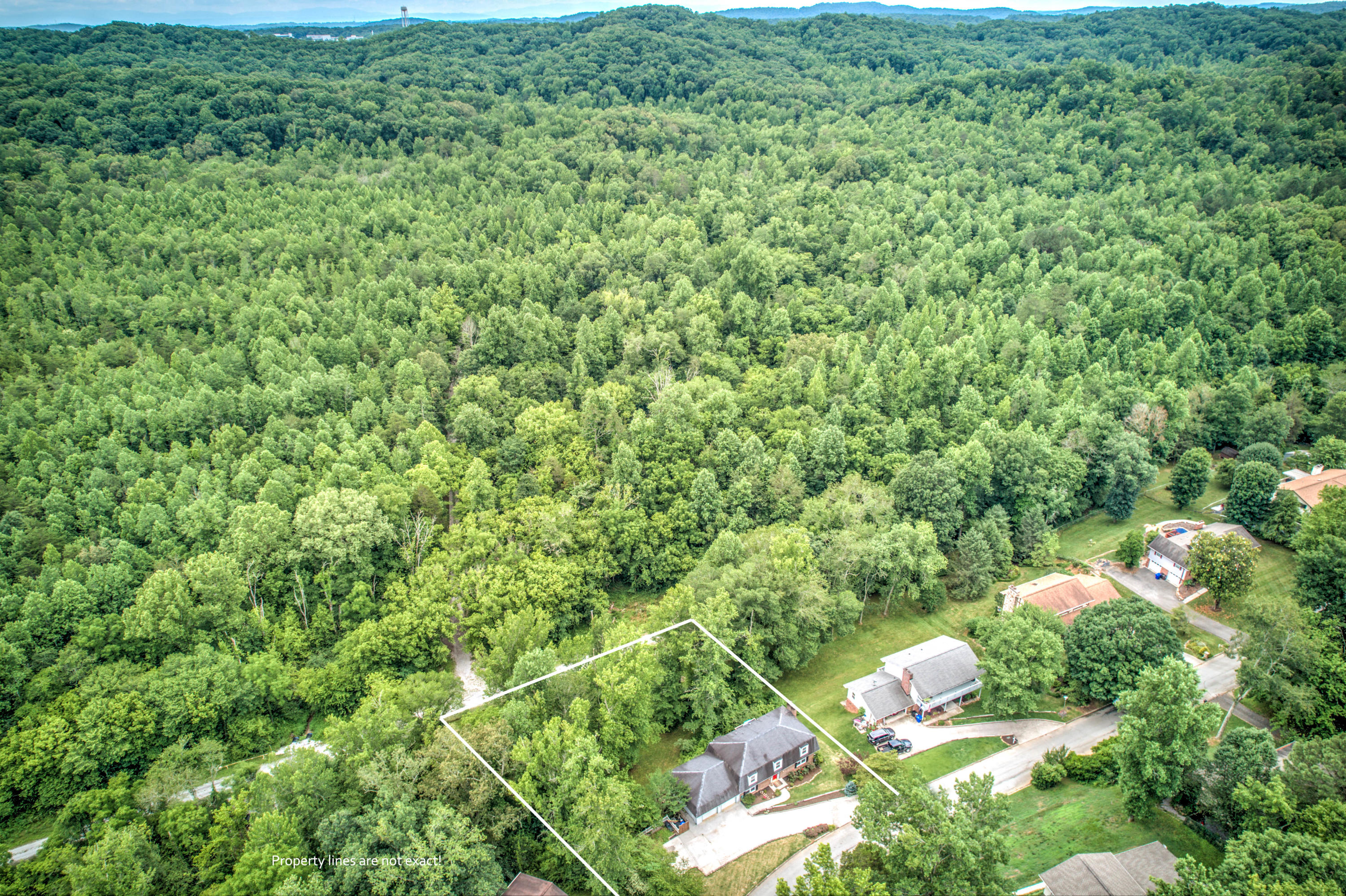 115 Greystone Drive Oak Ridge, TN 37830 - Photo 38 of 40 Aerial