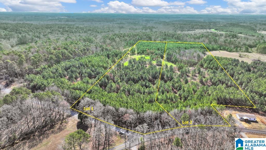 Duncan Road Jasper, AL 35503 - Photo 4 of 5