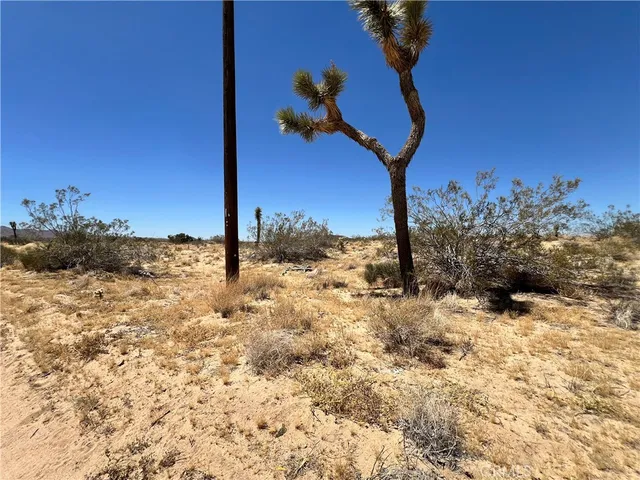 a view of a snow on a field