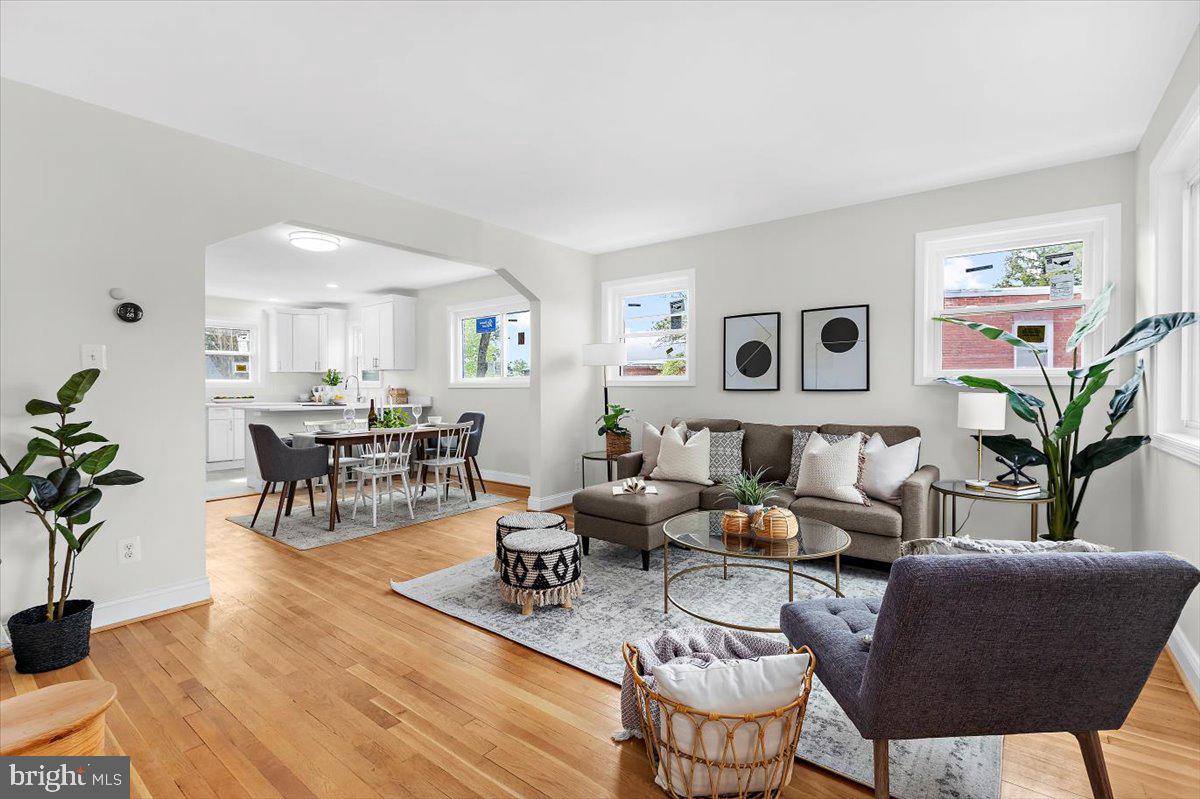 a living room with furniture potted plant and a window