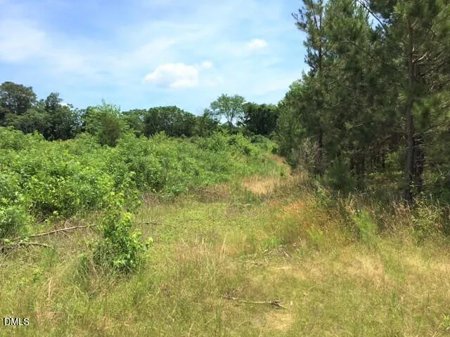 a view of a field of grass and trees