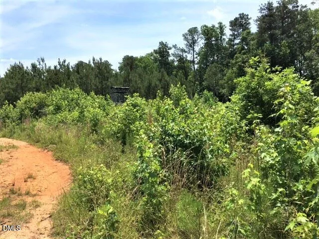 a view of a large yard with lots of green space