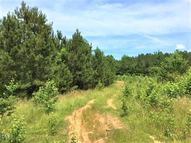 0 Walter Collins Road Castalia, NC 27816 - Photo 5 of 5 a view of a yard with a tree