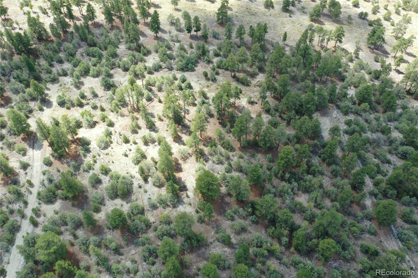 Costilla Place Mosca, CO 81146 - Photo 3 of 11 an aerial view of residential houses with outdoor space and trees