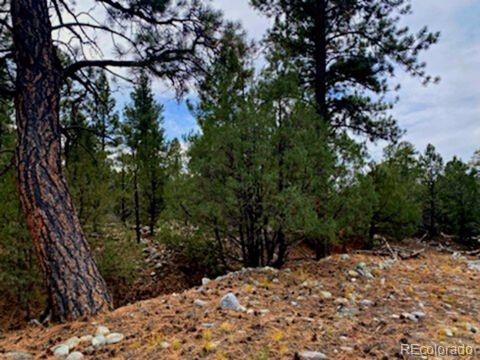Costilla Place Mosca, CO 81146 - Photo 6 of 11 a view of a backyard of a house