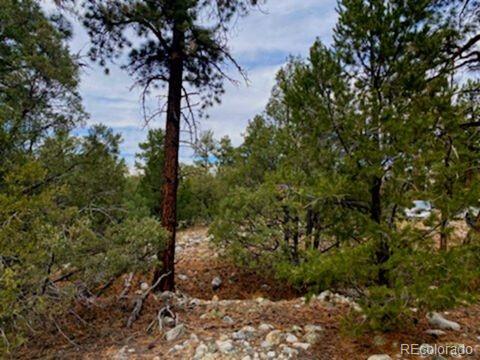 Costilla Place Mosca, CO 81146 - Photo 8 of 11 a street sign on a sidewalk next to a road