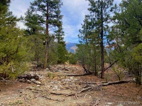 a view of a yard with plants and trees