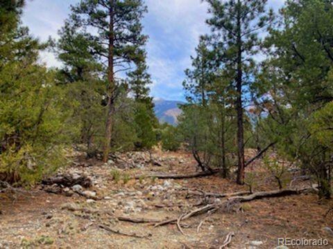 Costilla Place Mosca, CO 81146 - Photo 9 of 11 a view of a yard with plants and trees