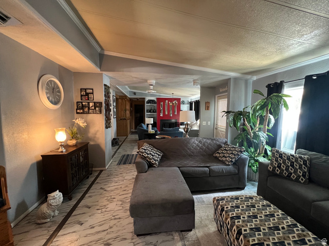 Grey walls with white crown molding