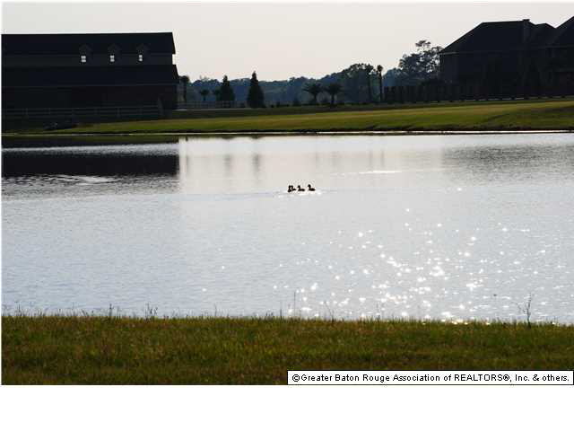 21718 Rabbit Run Drive Baton Rouge, LA 70817 - Photo 3 of 15 Gallery Image 3