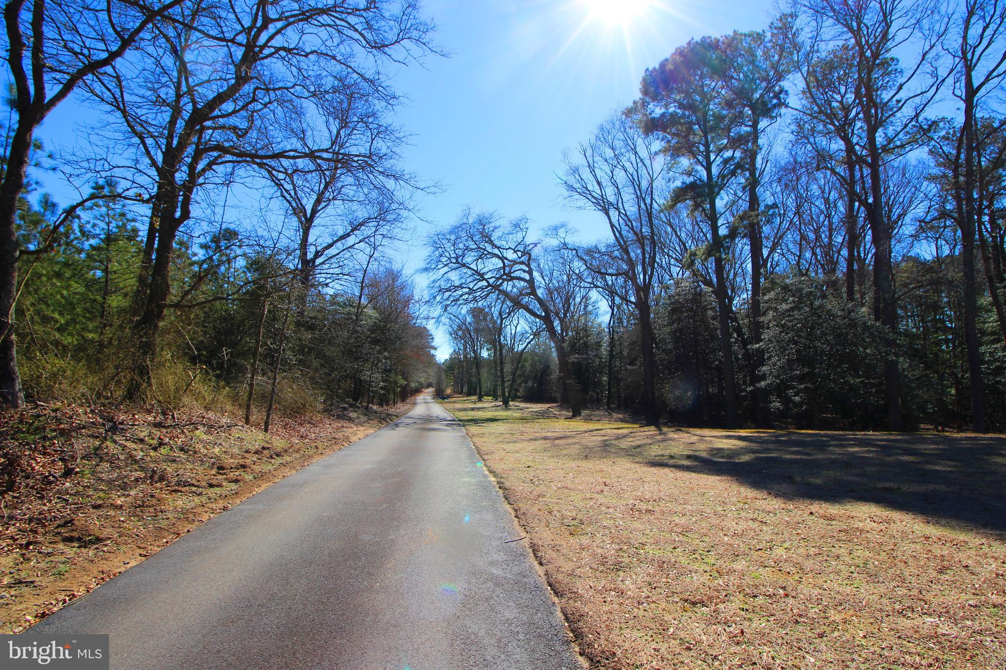 5066 Cooper Road Eden, MD 21822 - Photo 54 of 70 Shady driveway