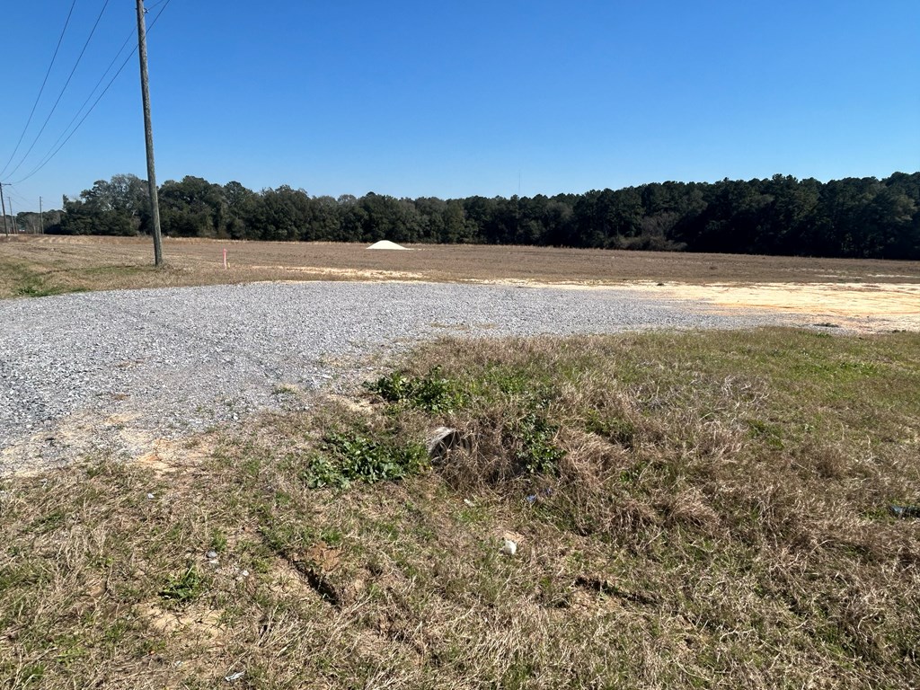 15-ac Webb Road Dothan, AL 36301 - Photo 9 of 33