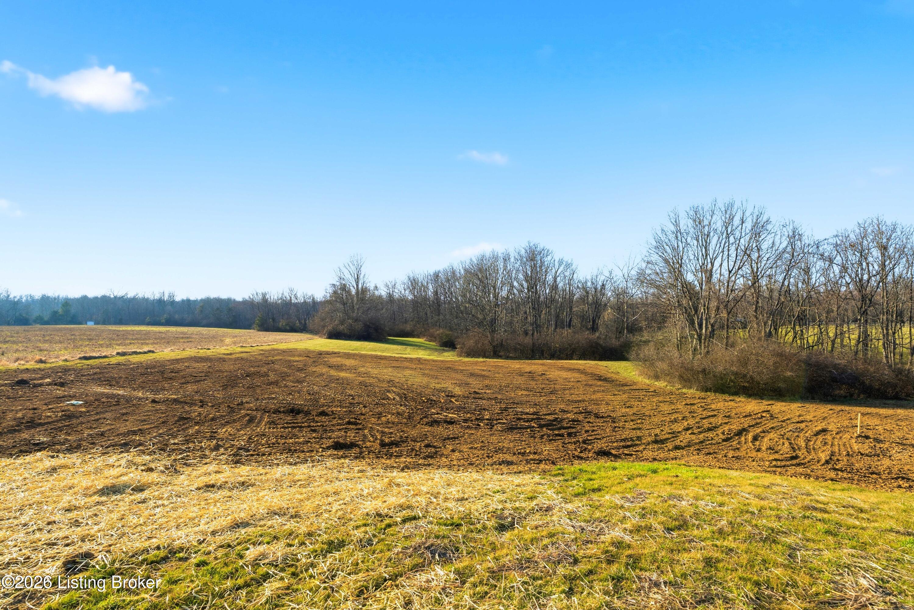 215 Mahuron Road Simpsonville, KY 40067 - Photo 56 of 59 View of 5 acres