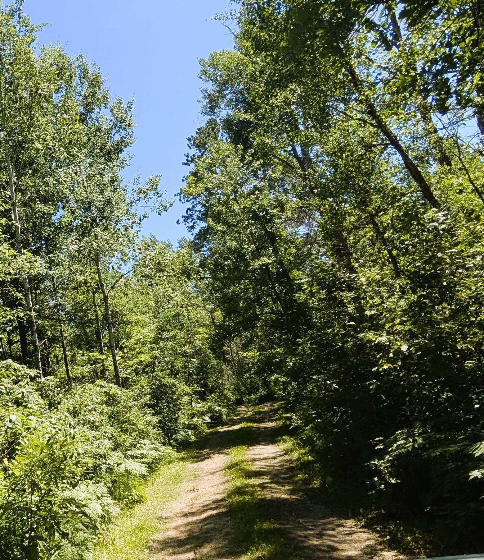 42683 County 3 Solway, MN 56678 - Photo 35 of 36